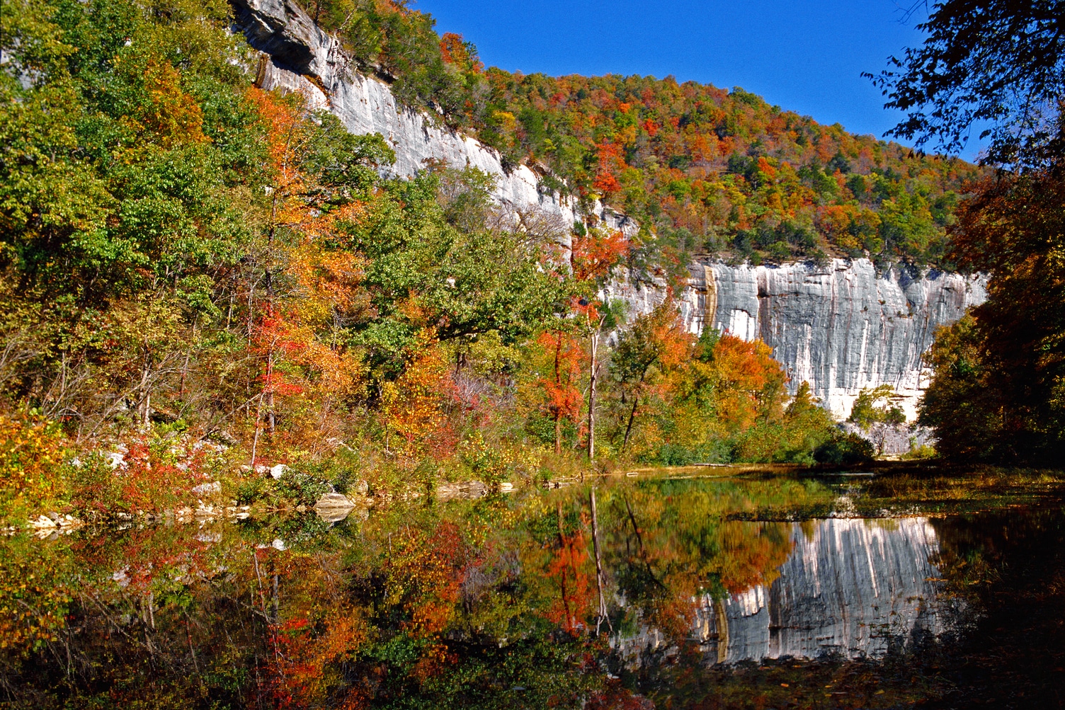 Things to Do in Bentonville AR and Other Family Adventures in Northwest Arkansas