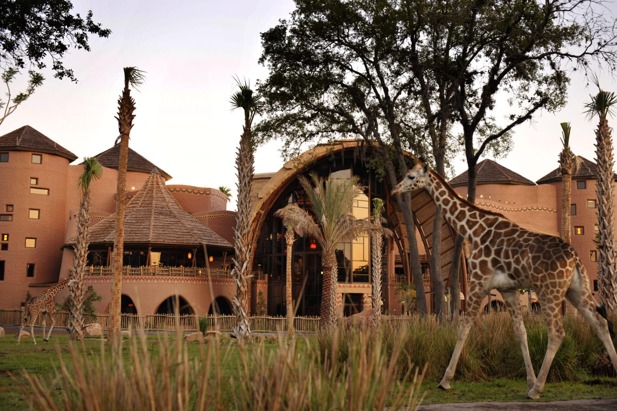 You’re Tempted – But is the Disney Vacation Club Worth It?