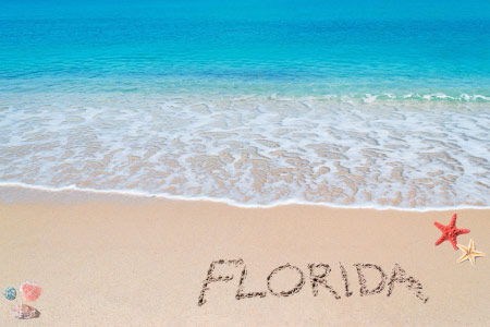 Florida & Caribbean
