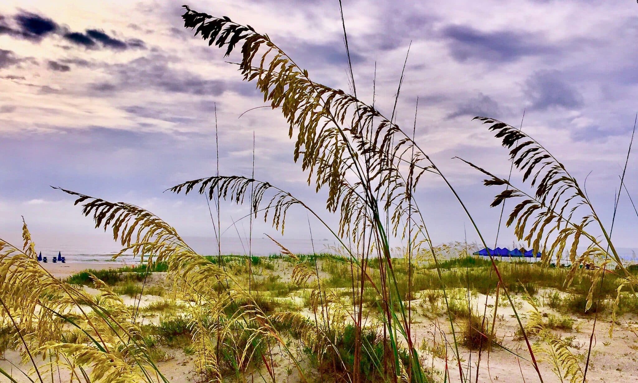 A Multigen Visit to St. Augustine and its Beaches