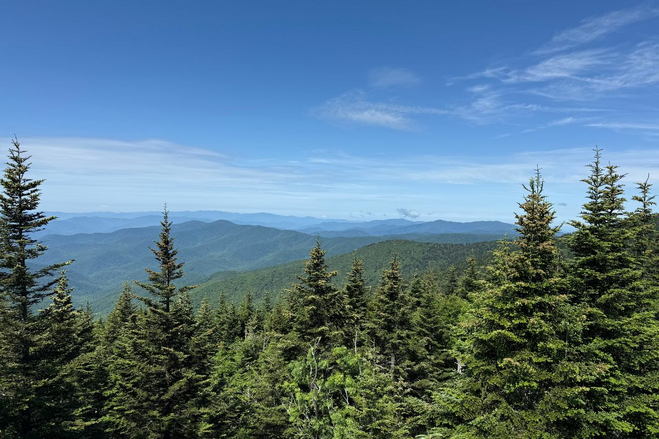 Vibrant green trees and rolling green mountains with blue skies overhead.