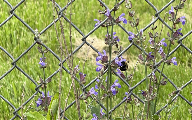 Image23
