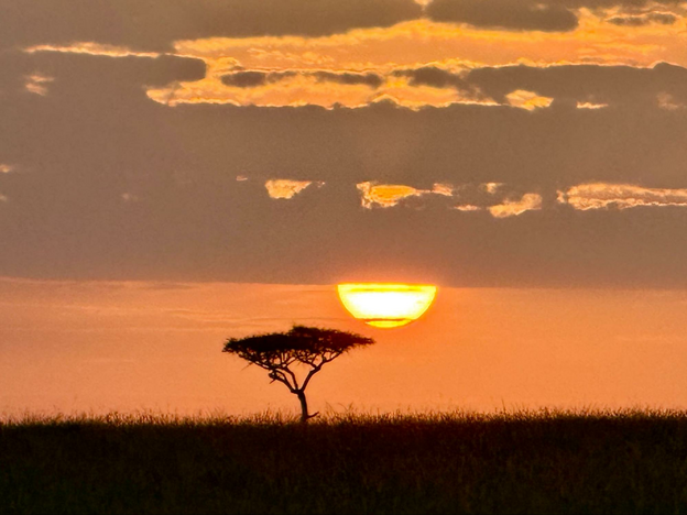 Serena Hotels: Where to Stay on Your Kenyan Safari