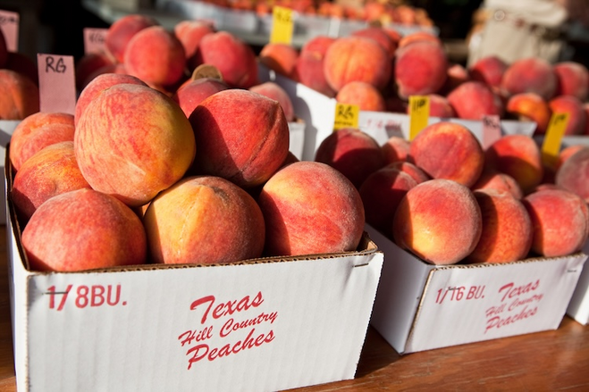Best Things to Do in Fredericksburg Texas